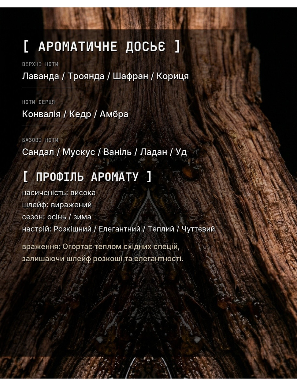 OLFx Niche ALEXANDRIA II — зображення 1