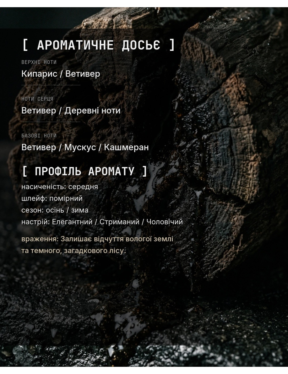 OLFx Niche ENCRE NOIRE — зображення 1