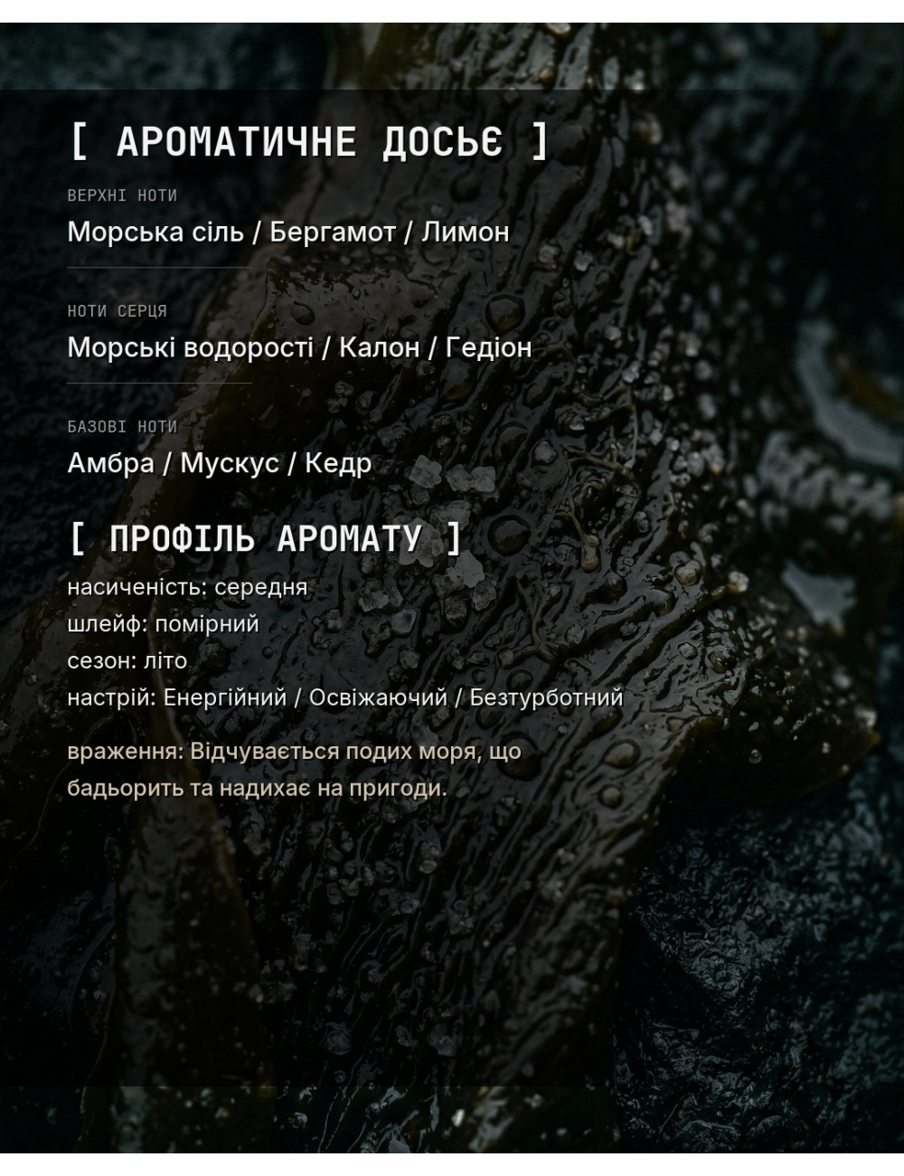 OLFx Niche DELPHINUS — зображення 1