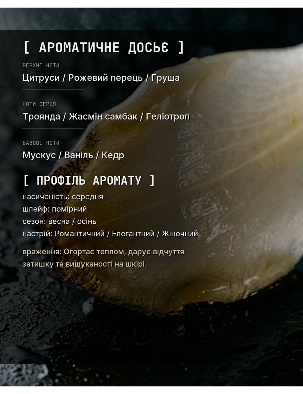 OLFx Niche DONNA — зображення 1