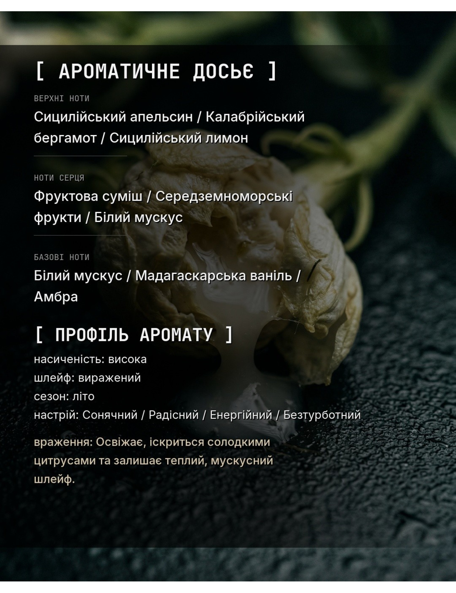 OLFx Niche ERBA PURA — ароматичне досьє OLFx