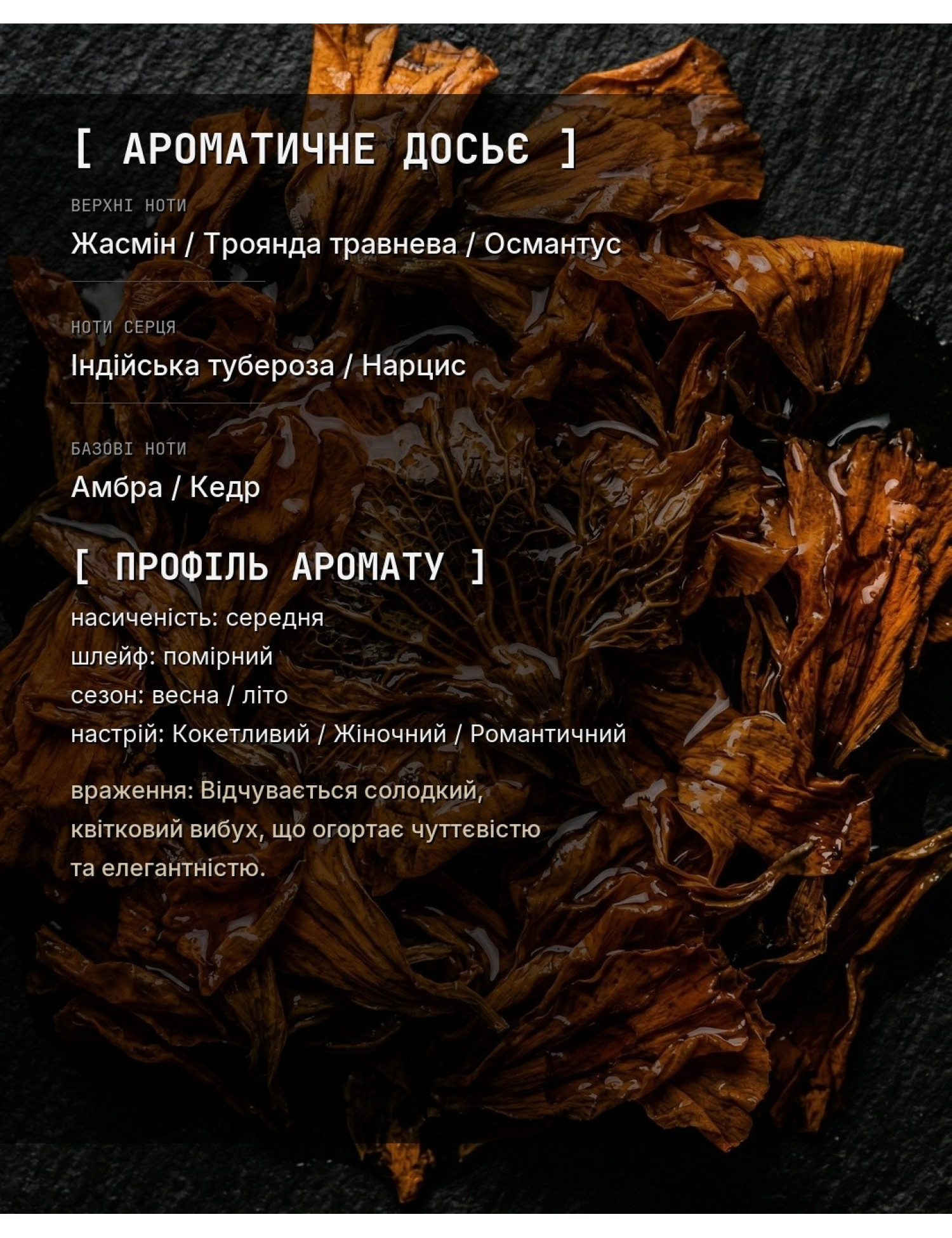 OLFx Niche GOOD GIRL GONE BAD — ароматичне досьє OLFx