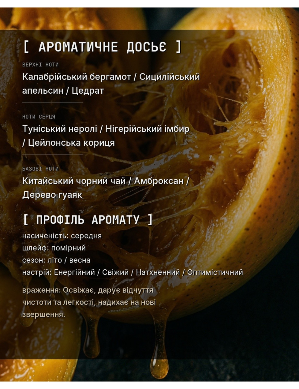 OLFx Niche IMAGINATION — зображення 1