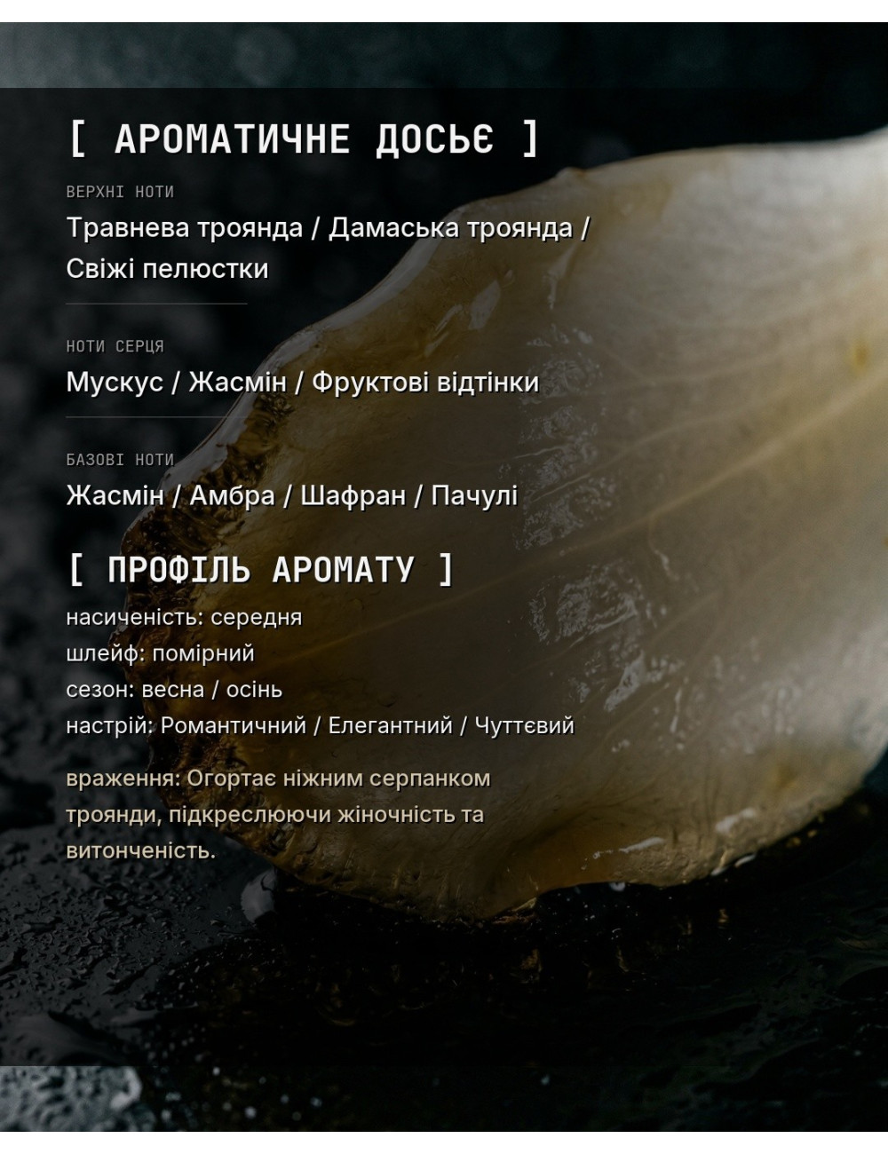 OLFx Niche ROSES MUSK — зображення 1