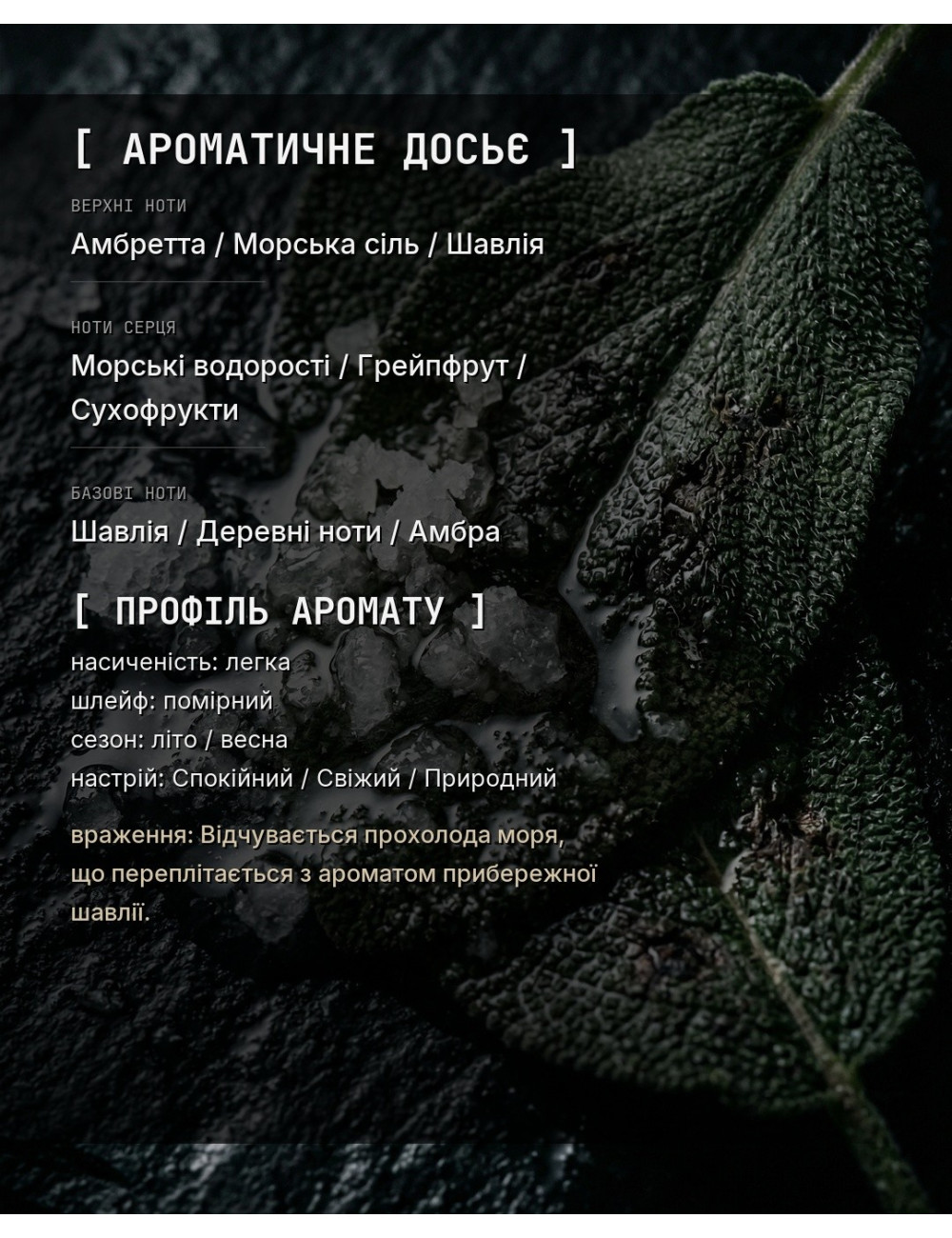 OLFx Niche WOOD SAGE & SEA SALT — зображення 1