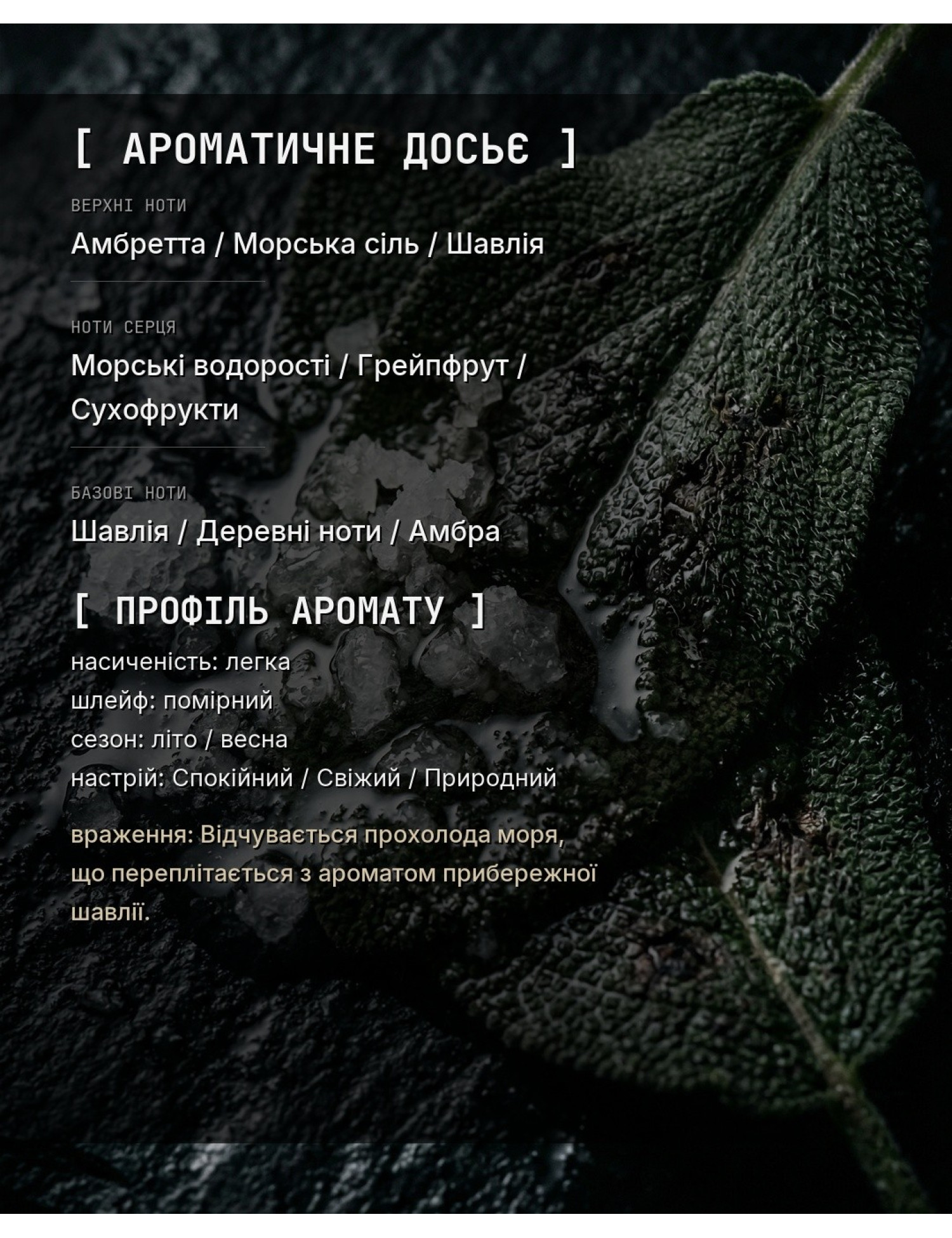 OLFx Niche WOOD SAGE & SEA SALT — ароматичне досьє OLFx