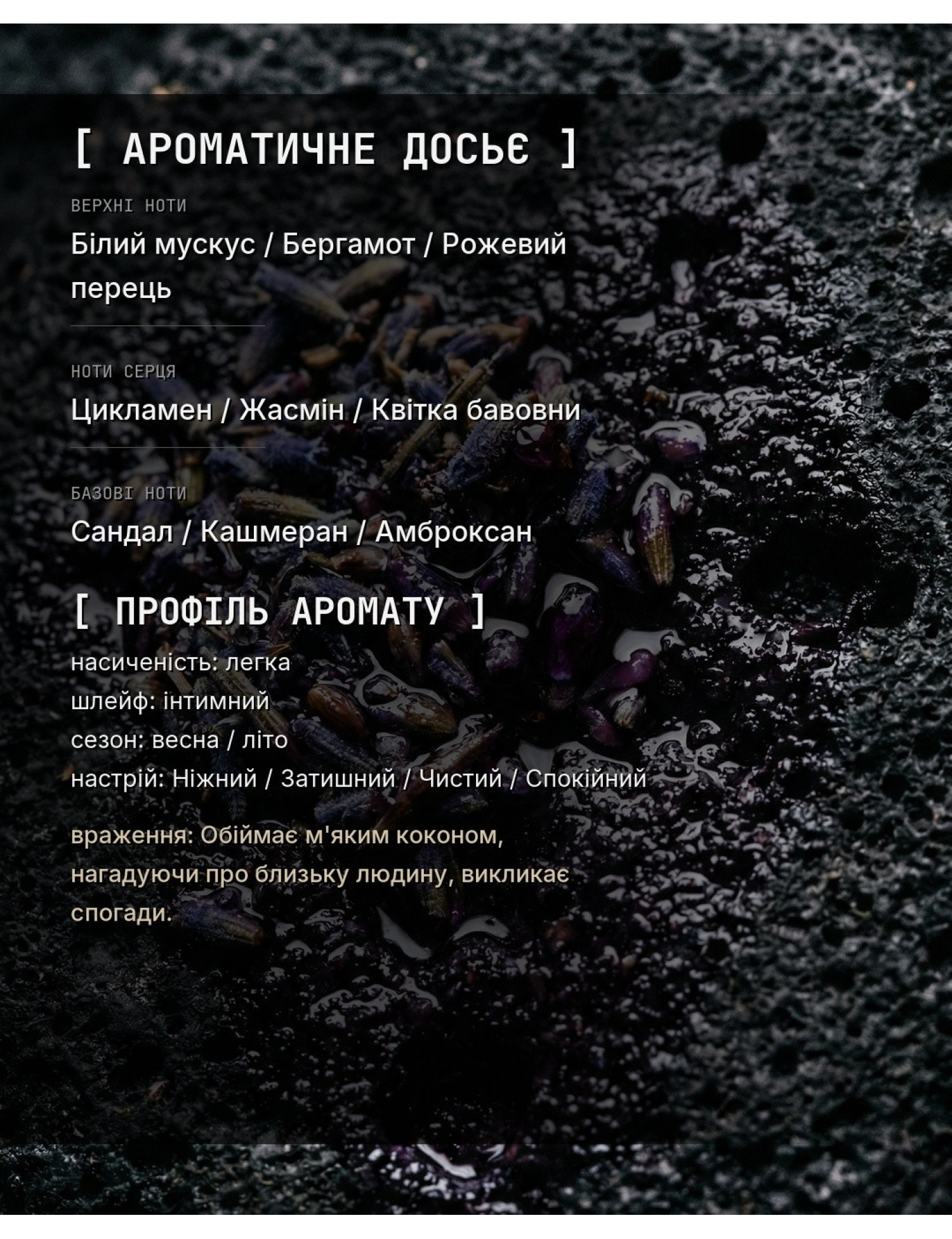 OLFx Niche MISSING PERSON — ароматичне досьє OLFx