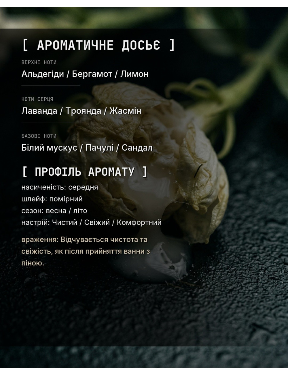 OLFx Niche BUBBLE BATH — зображення 1