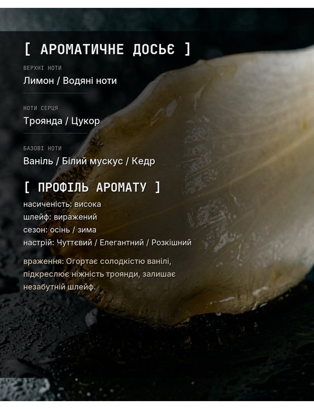 OLFx Niche ROSES VANILLE — зображення 1