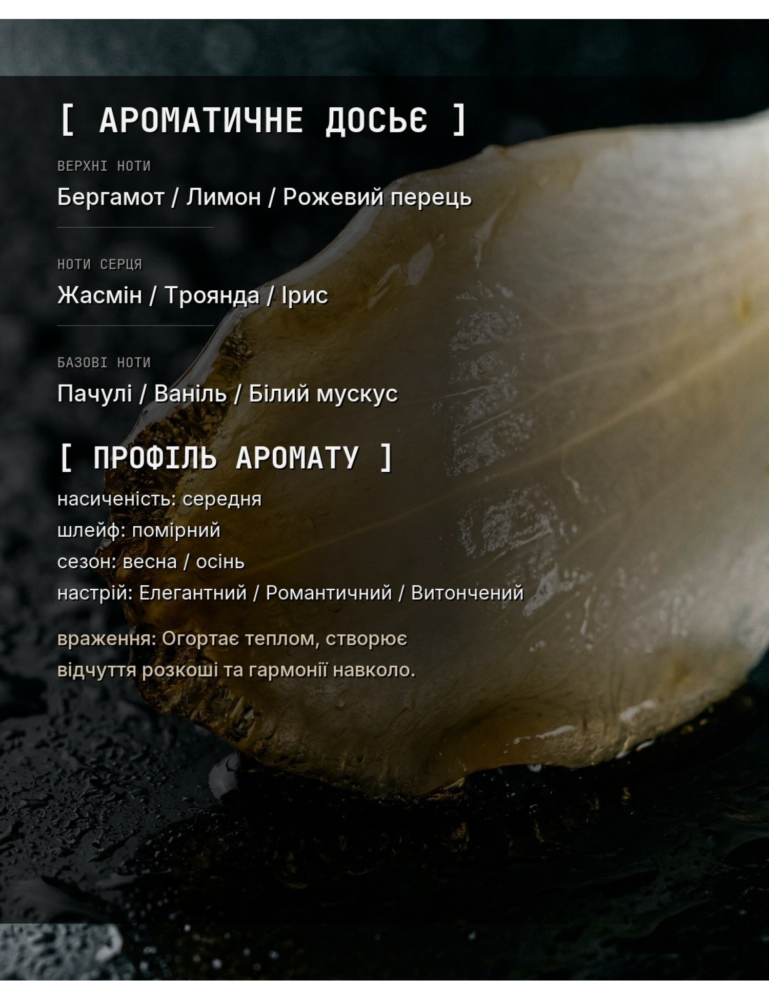 OLFx Niche SYMPHONY — ароматичне досьє OLFx