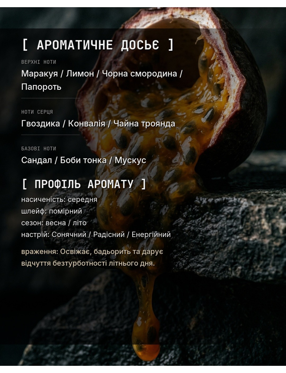 OLFx Niche CASSIOPEA — зображення 1