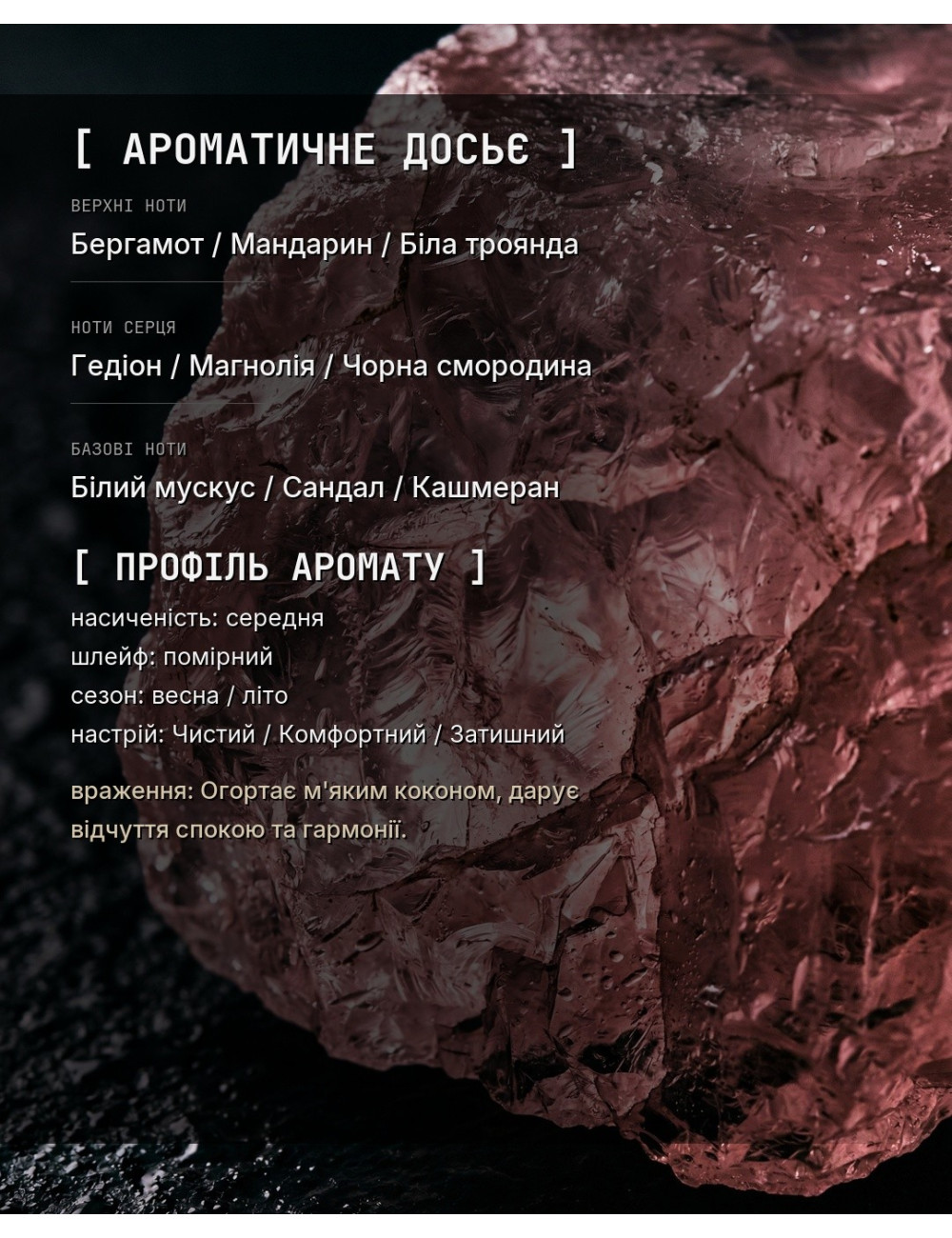 OLFx Niche MUSK THERAPY — зображення 1