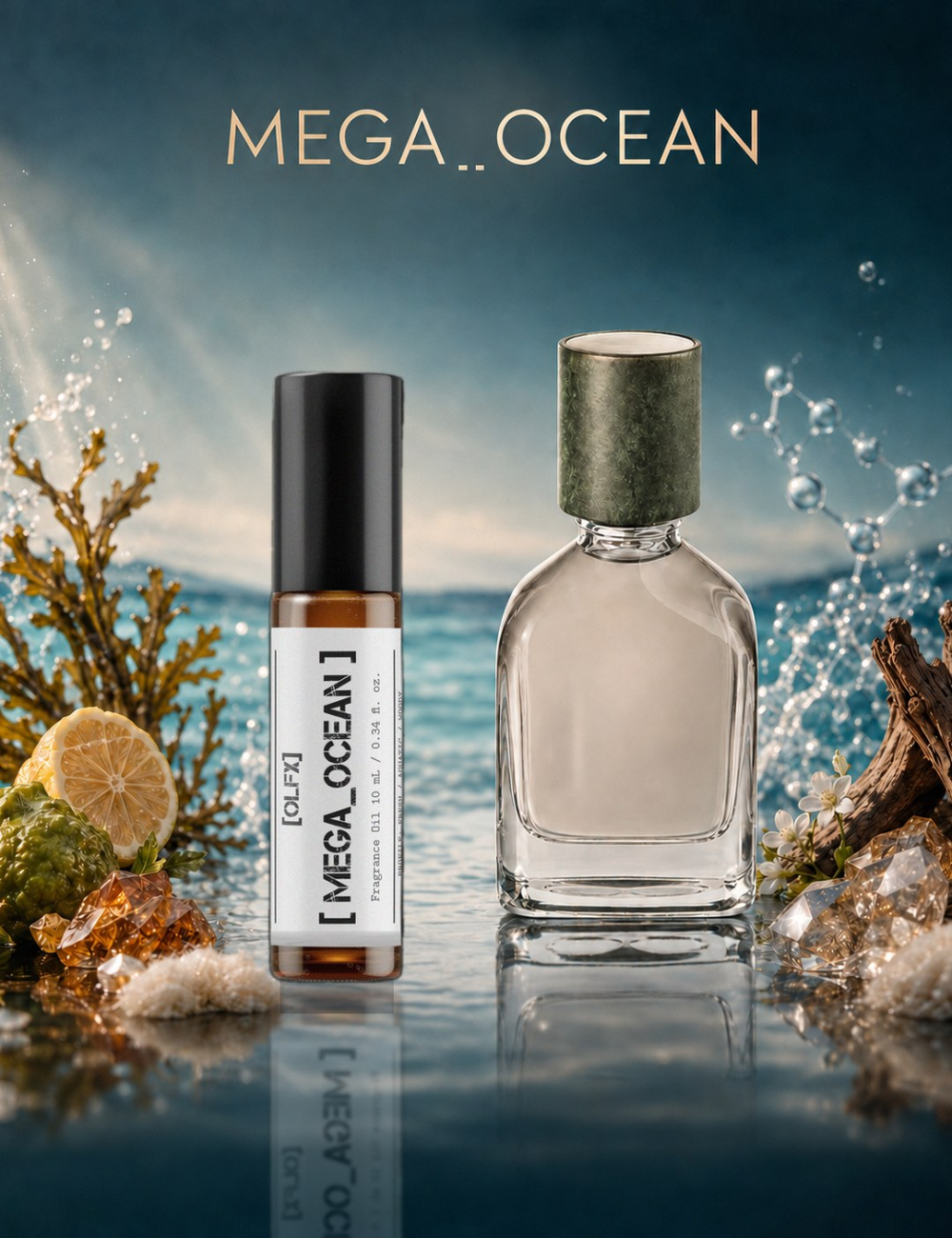 OLFx Niche MEGA OCEAN