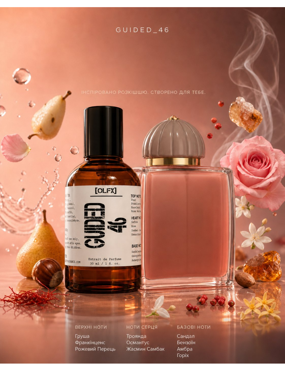 OLFx Niche GUIDED 46