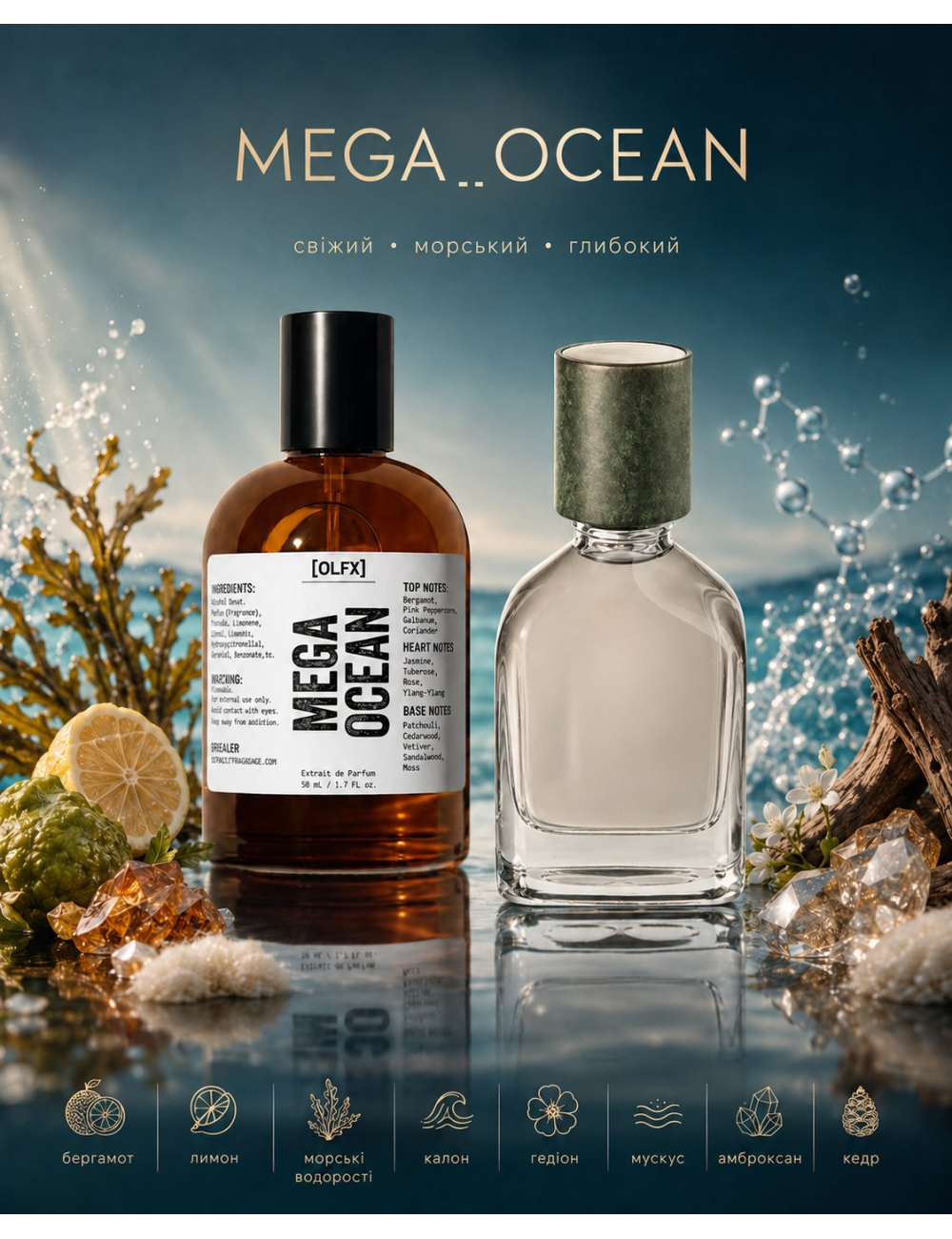 OLFx Niche MEGA OCEAN